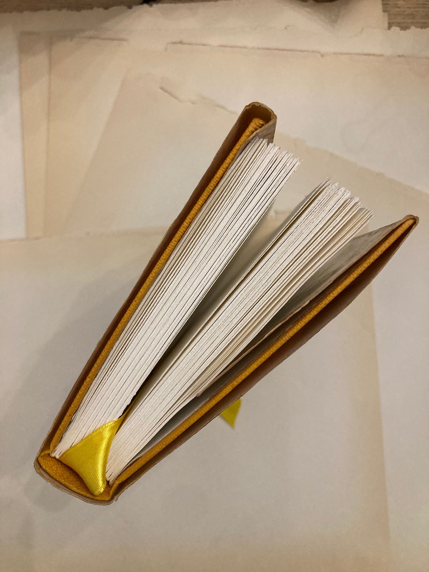 Upcycling book